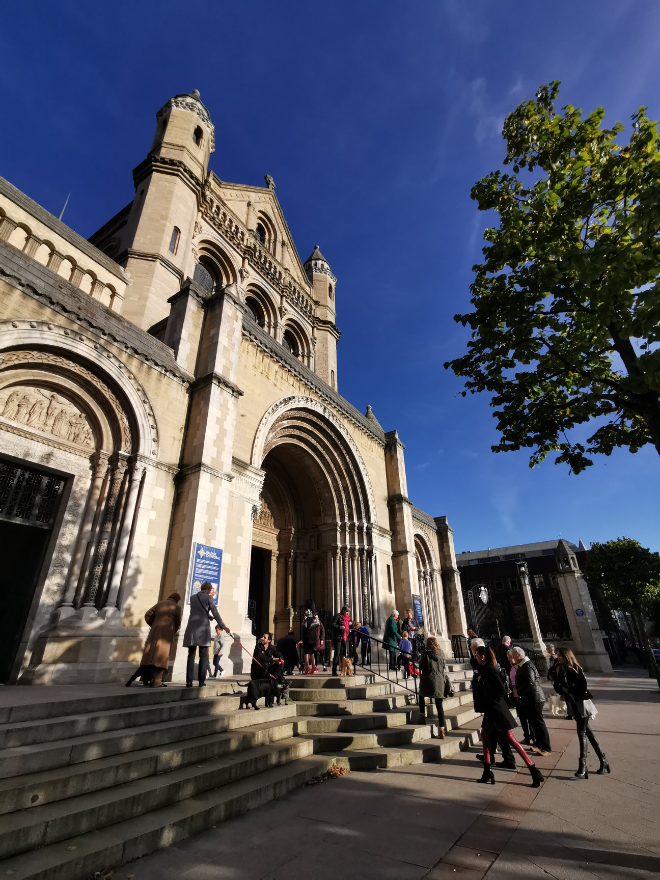 Belfast Cathedral - Annual Pet Service – Pets on the Steps